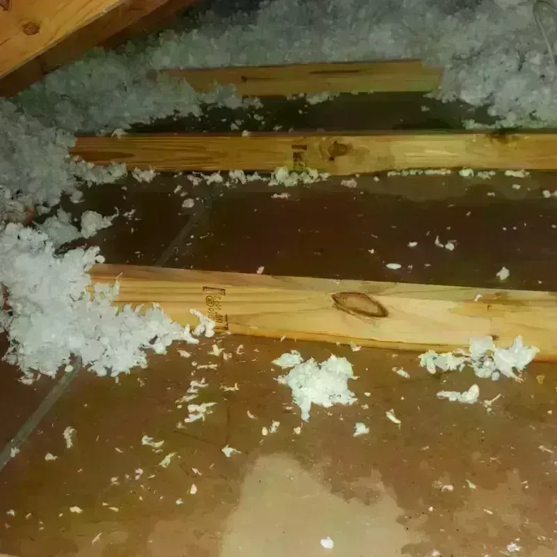 Attic Water Damage in Tolland County, CT